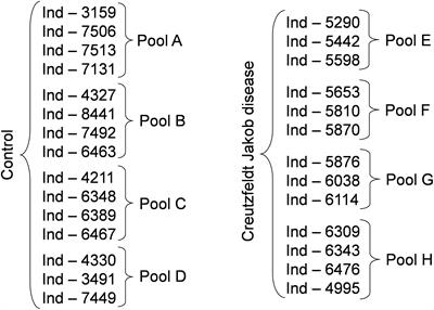 Sample Pooling and Inflammation Linked to the False Selection of Biomarkers for Neurodegenerative Diseases in Top–Down Proteomics: A Pilot Study